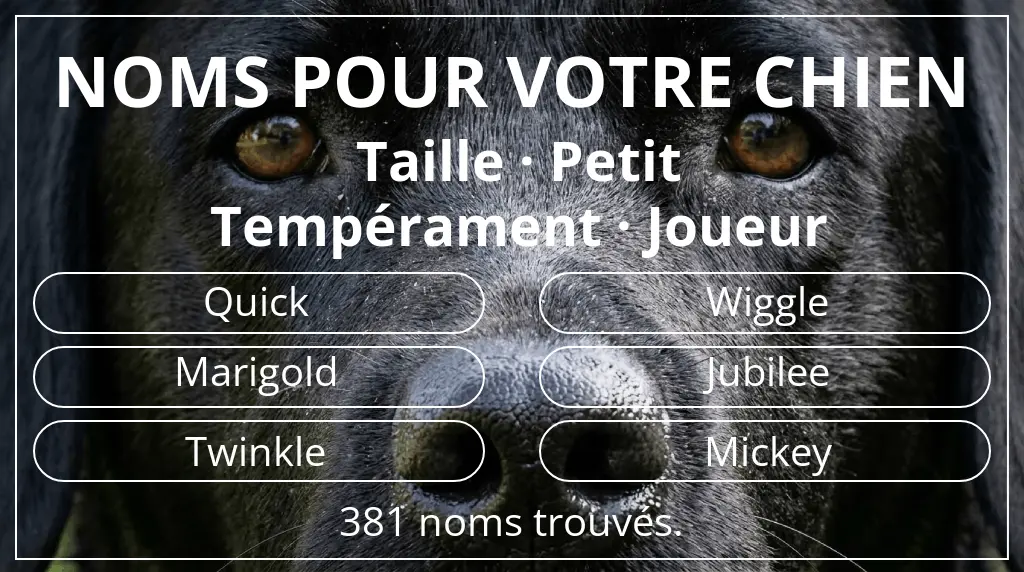 Noms de chiens inspirés de taille petit et tempérament joueur