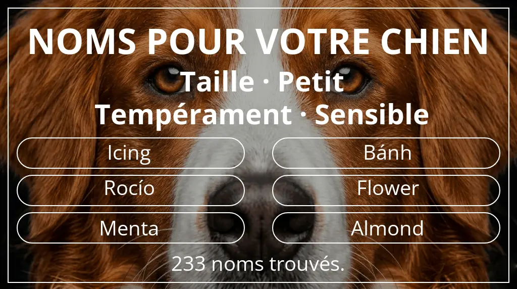 Noms de chiens basés sur taille petit et tempérament sensible