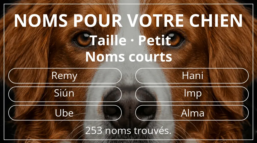 Noms de chiens inspirés de taille petit et longueur du nom court (2 à 4)