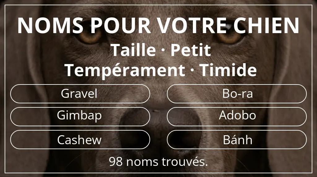 Noms de chiens basés sur taille petit et tempérament timide