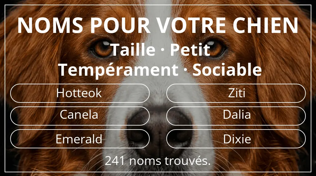Noms de chiens inspirés de taille petit et tempérament sociable