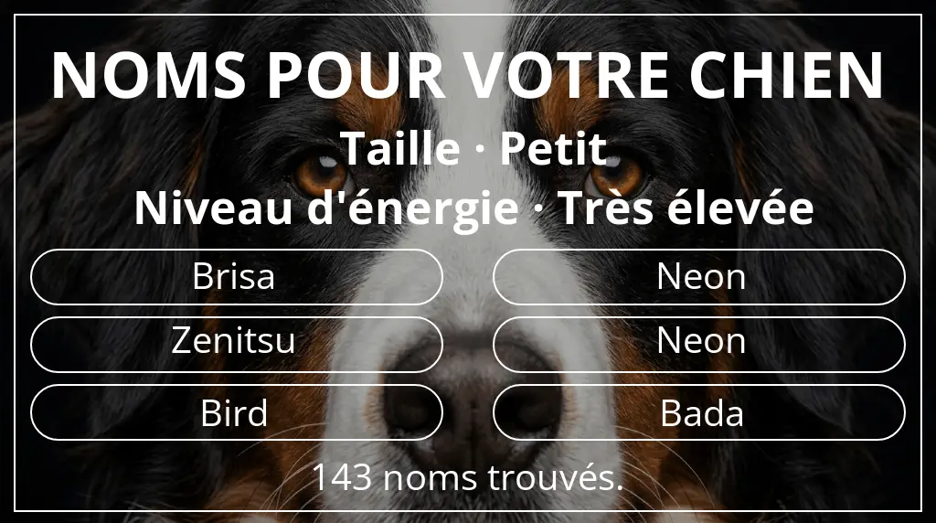 Noms de chiens basés sur taille petit et niveau d'énergie très élevée