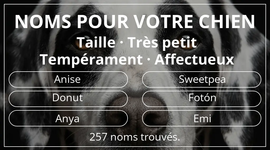 Noms pour chiens inspirés de taille très petit et tempérament affectueux