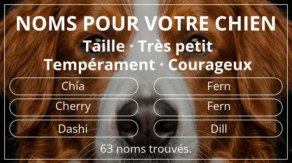 Noms de chiens inspirés de taille très petit et tempérament courageux