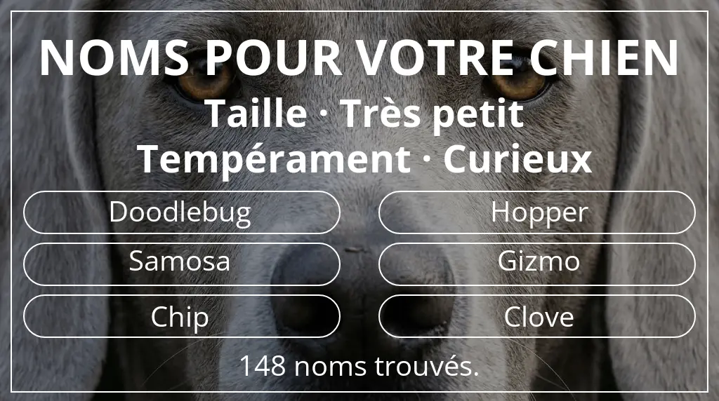 Noms de chiens inspirés de taille très petit et tempérament curieux