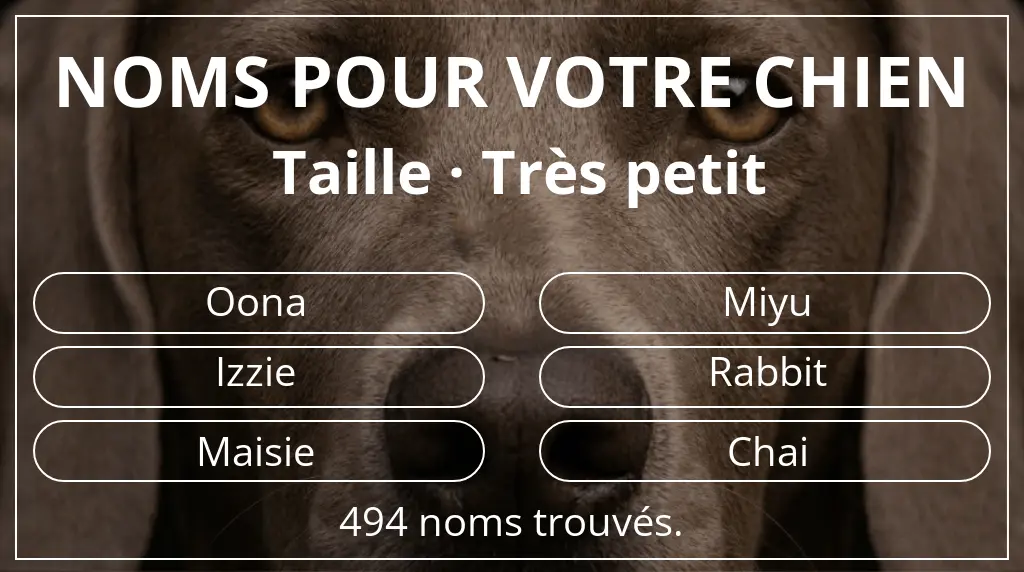 Noms pour chiens inspirés de taille très petit