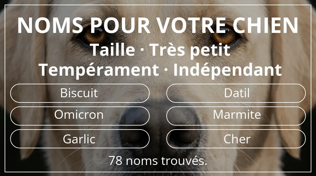 Noms pour chiens basés sur taille très petit et tempérament indépendant