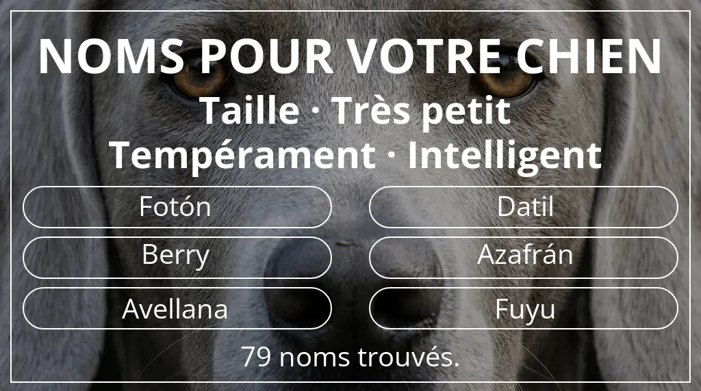 Noms pour chiens inspirés de taille très petit et tempérament intelligent