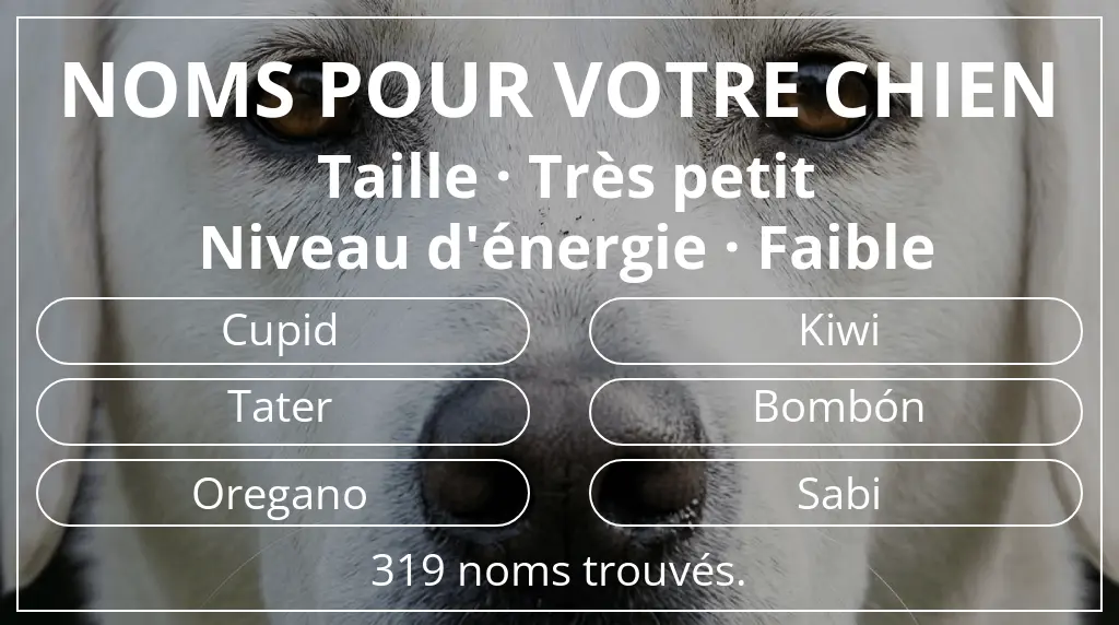 Noms de chiens basés sur taille très petit et niveau d'énergie faible