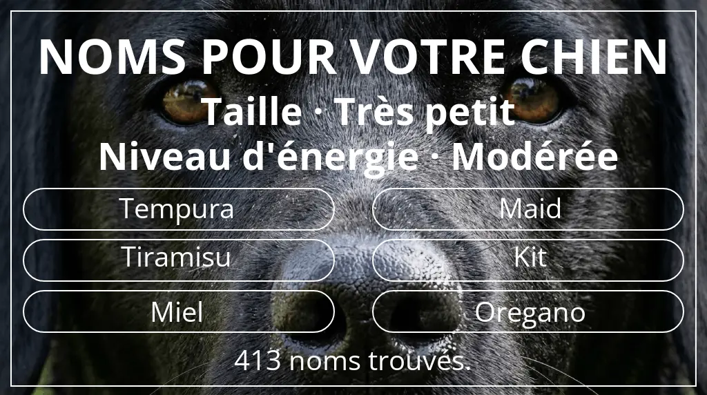 Noms pour chiens inspirés de taille très petit et niveau d'énergie modérée