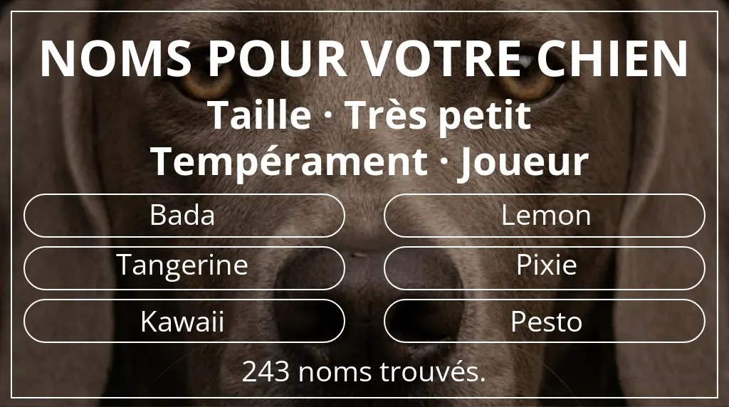Noms de chiens inspirés de taille très petit et tempérament joueur