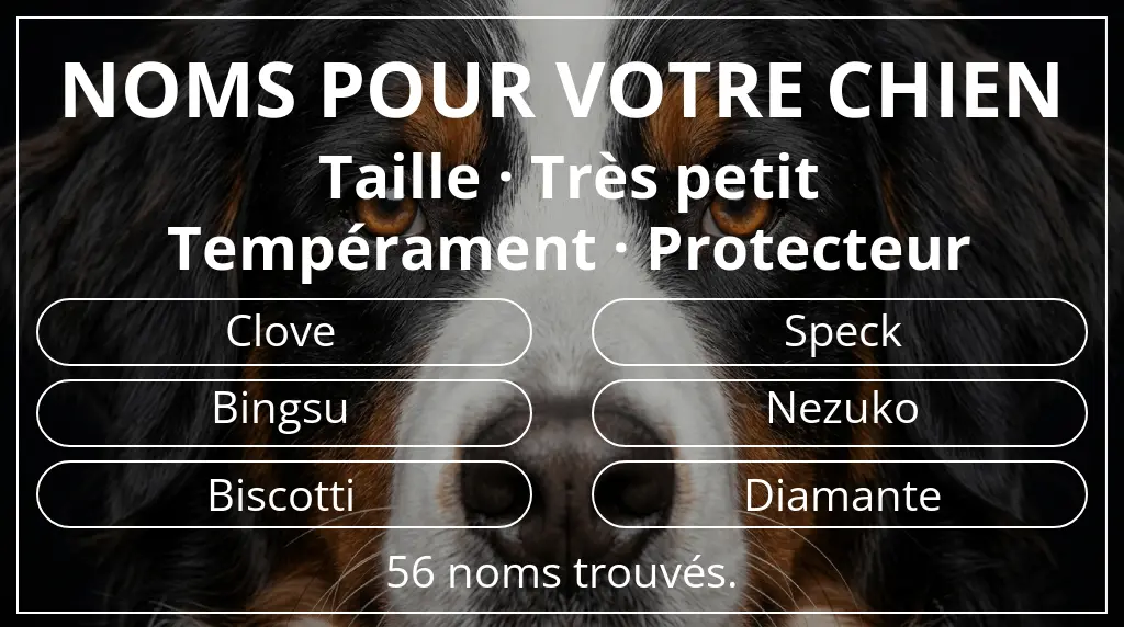 Noms de chiens inspirés de taille très petit et tempérament protecteur