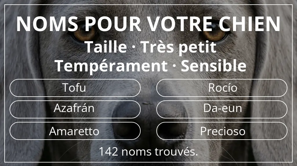 Noms pour chiens basés sur taille très petit et tempérament sensible