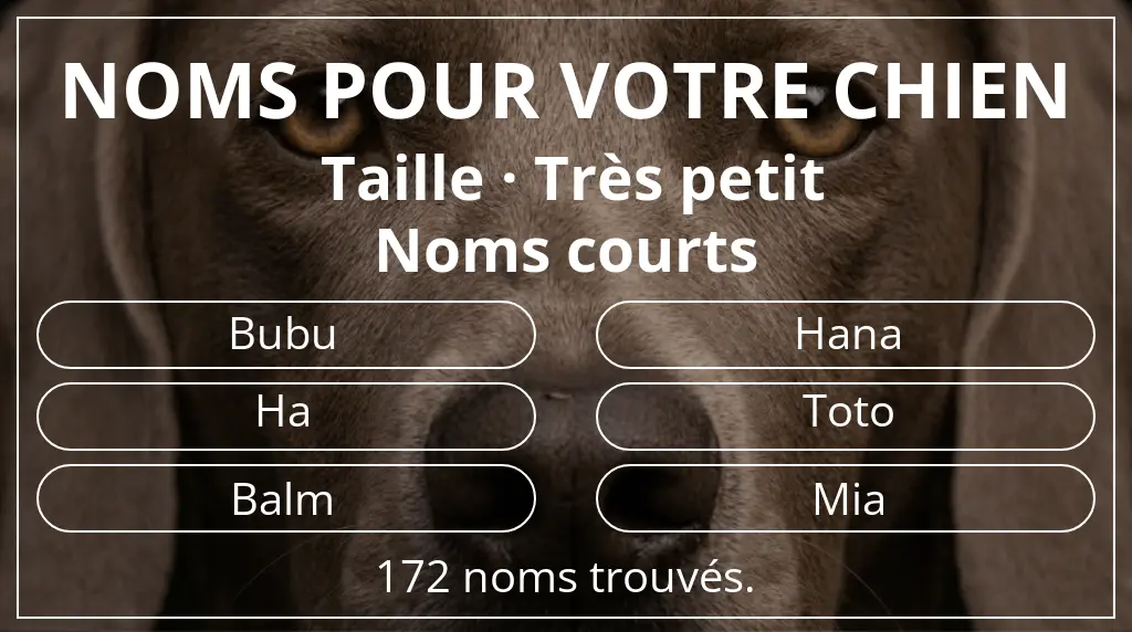 Noms de chiens basés sur taille très petit et longueur du nom court (2 à 4)