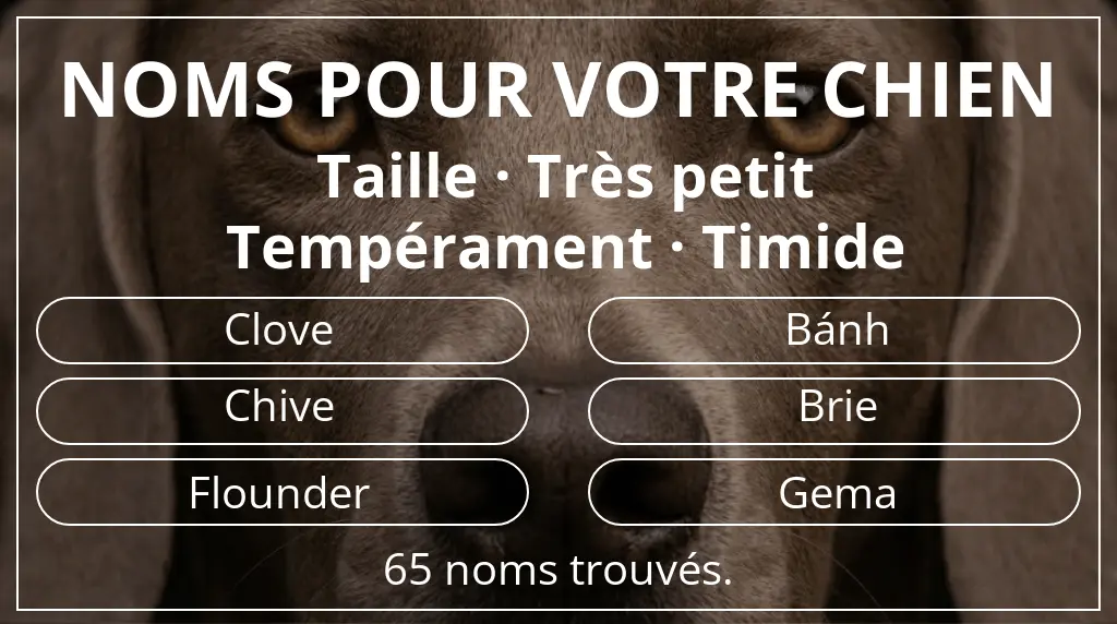 Noms pour chiens basés sur taille très petit et tempérament timide