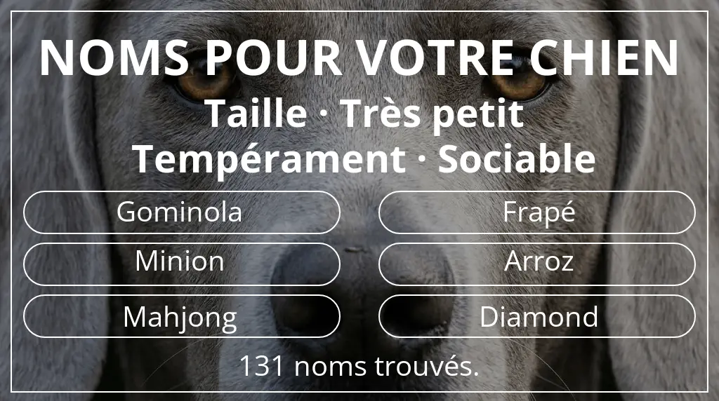 Noms pour chiens basés sur taille très petit et tempérament sociable