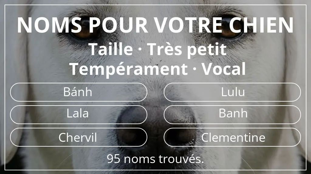 Noms de chiens inspirés de taille très petit et tempérament vocal