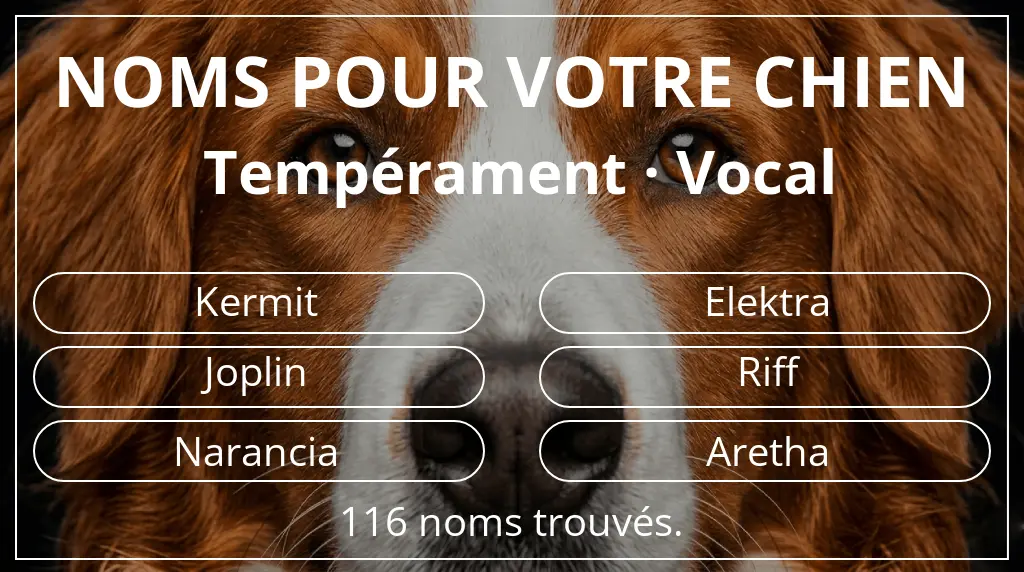 Noms pour chiens inspirés de tempérament vocal