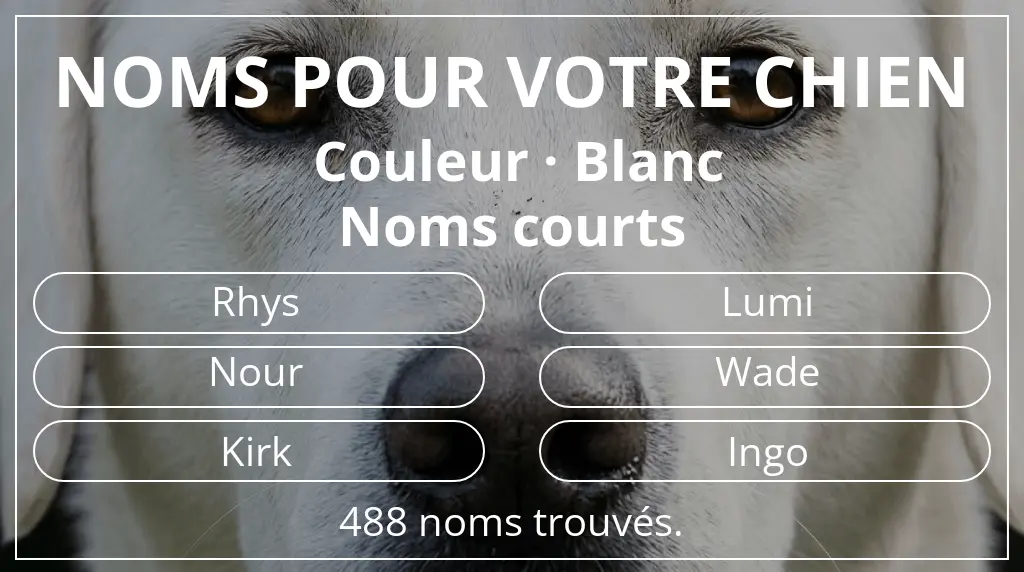 Noms de chiens inspirés de couleur blanc et longueur du nom court (2 à 4)