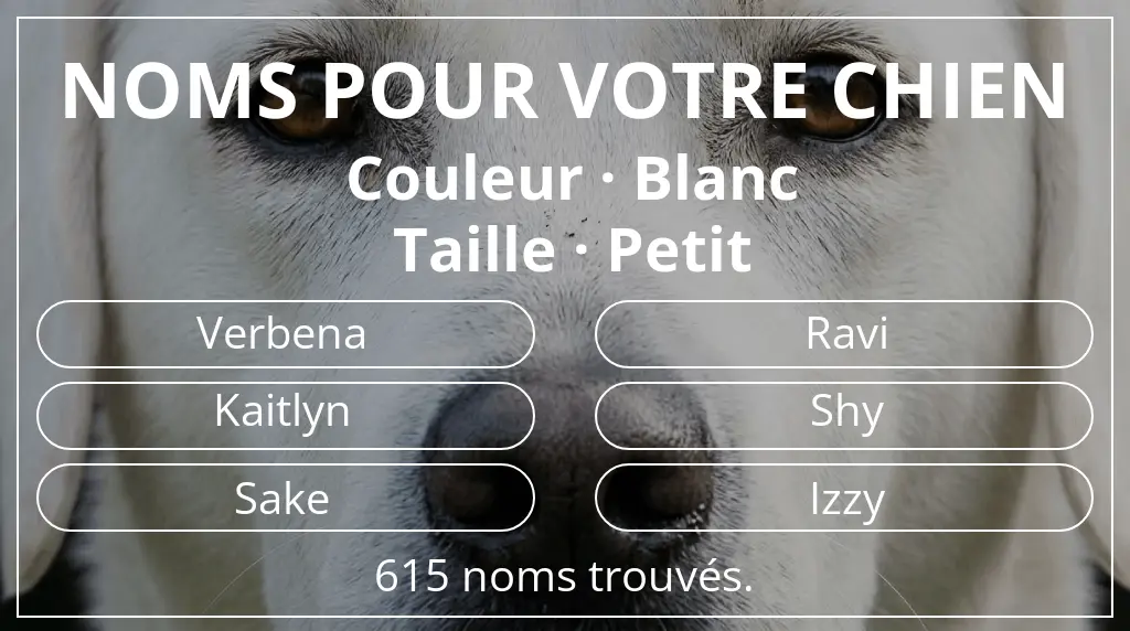 Noms pour chiens basés sur couleur blanc et taille petit