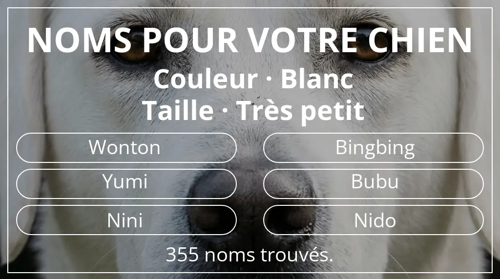 Noms de chiens inspirés de couleur blanc et taille très petit