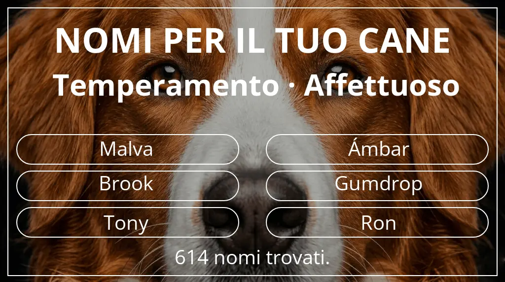 Nomi canini ispirati a temperamento affettuoso