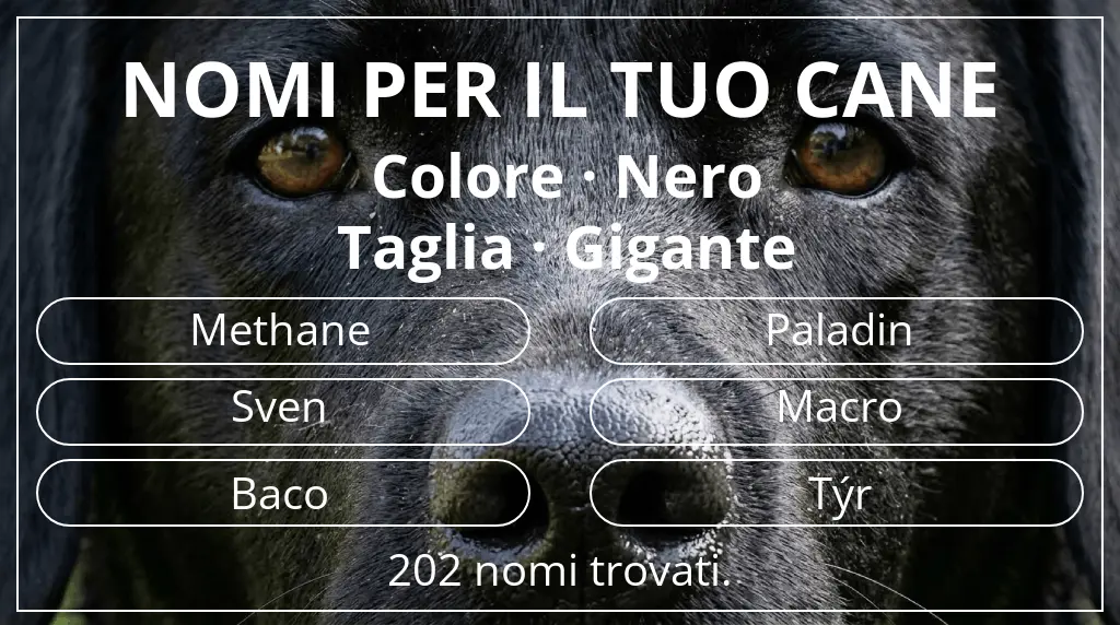 Nomi per cani basati su colore nero e taglia gigante