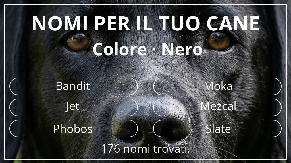 Nomi per cani basati su colore nero