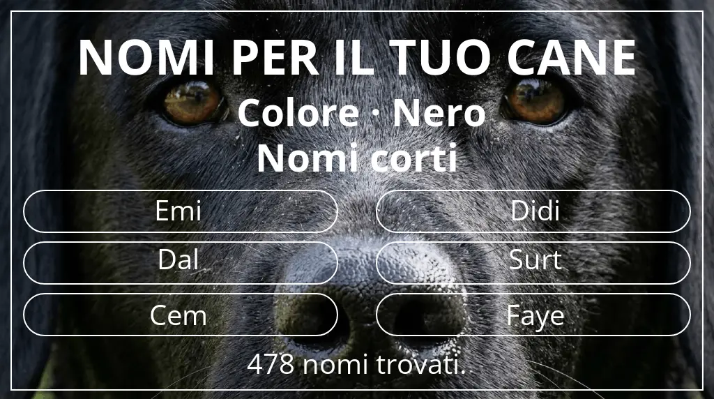 Nomi canini ispirati a colore nero e lunghezza del nome breve (2–4)