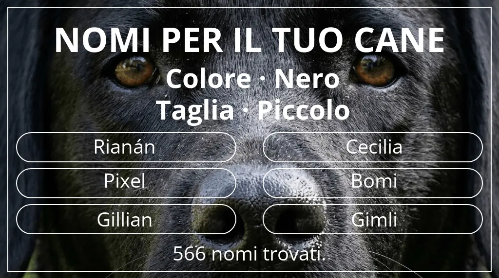 Nomi canini ispirati a colore nero e taglia piccolo