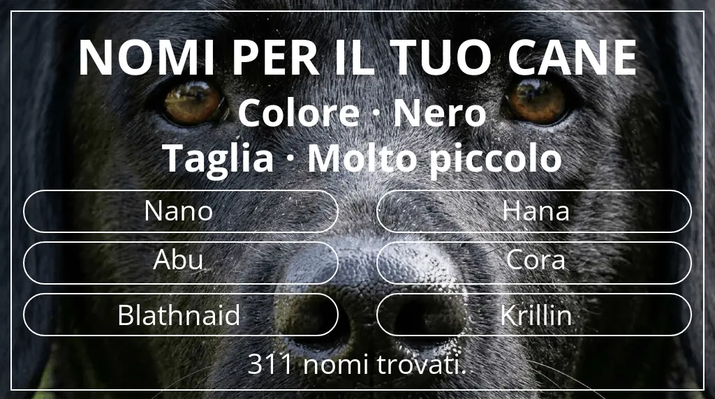 Nomi canini basati su colore nero e taglia molto piccolo