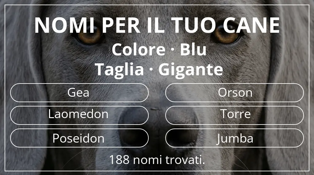 Nomi per cani ispirati a colore blu e taglia gigante