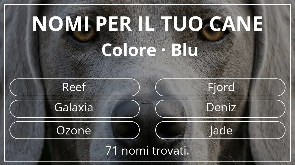 Nomi per cani basati su colore blu