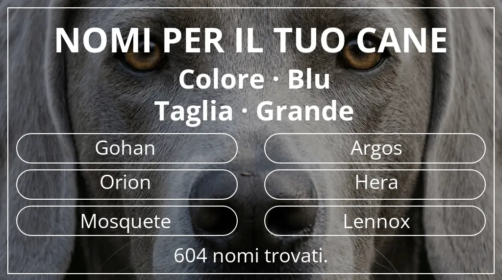 Nomi per cani ispirati a colore blu e taglia grande