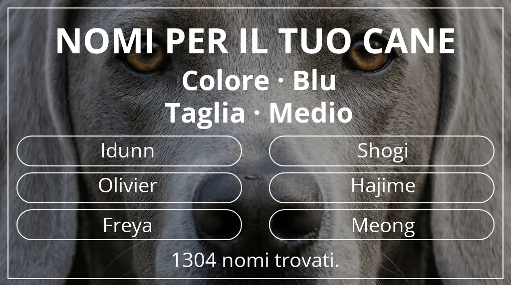 Nomi canini basati su colore blu e taglia medio