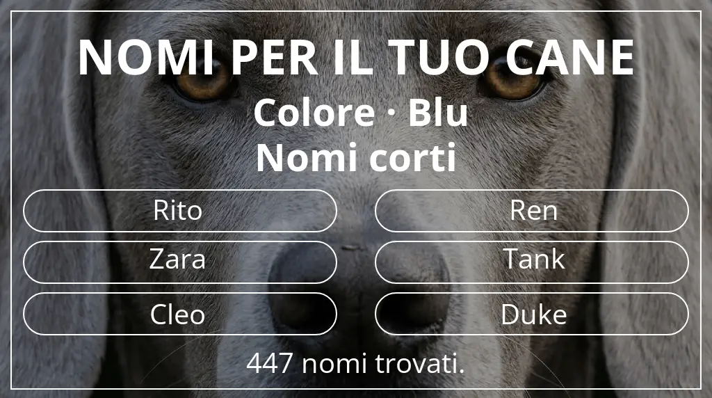 Nomi canini ispirati a colore blu e lunghezza del nome breve (2–4)