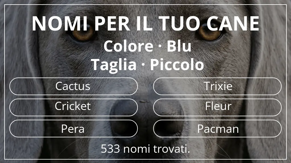 Nomi per cani ispirati a colore blu e taglia piccolo