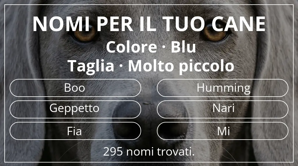 Nomi per cani basati su colore blu e taglia molto piccolo