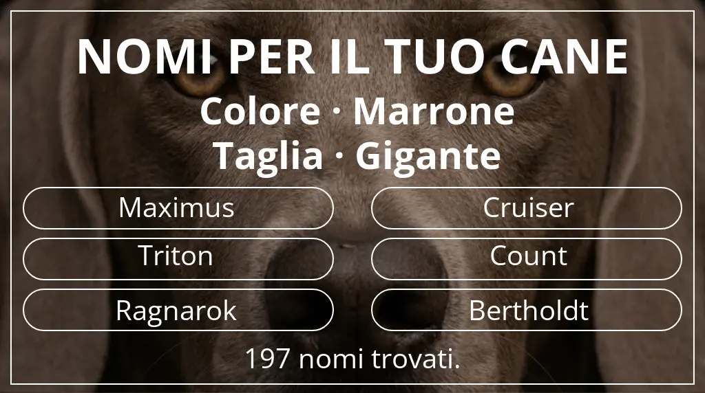 Nomi per cani basati su colore marrone e taglia gigante
