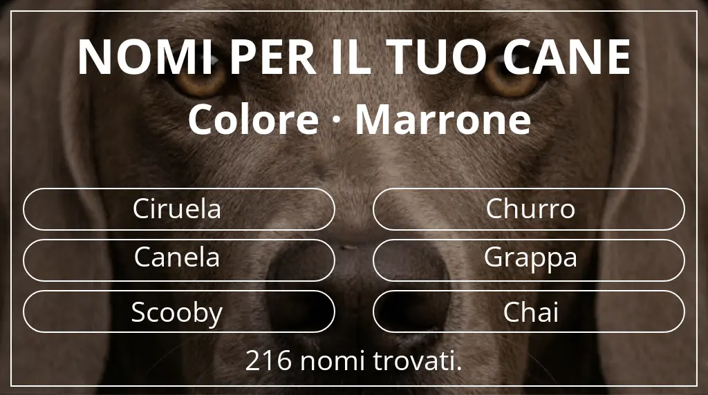 Nomi per cani ispirati a colore marrone