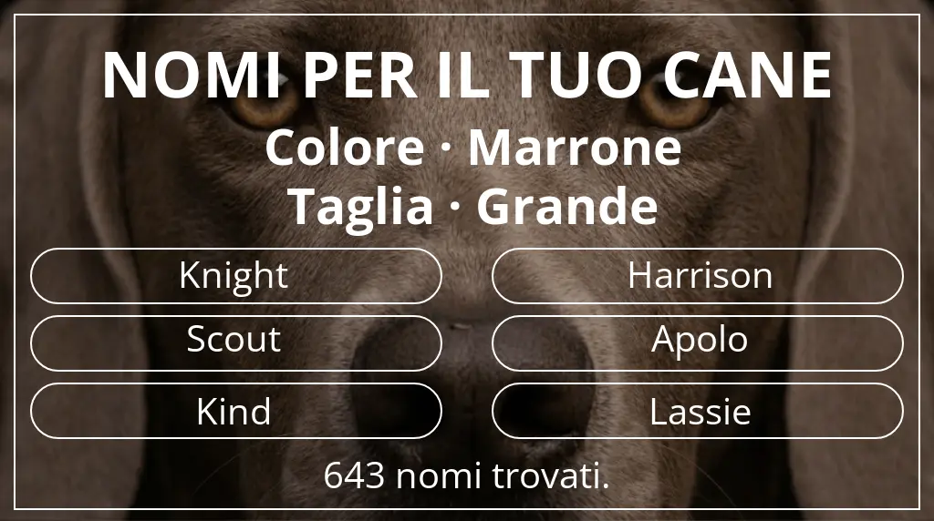 Nomi canini ispirati a colore marrone e taglia grande