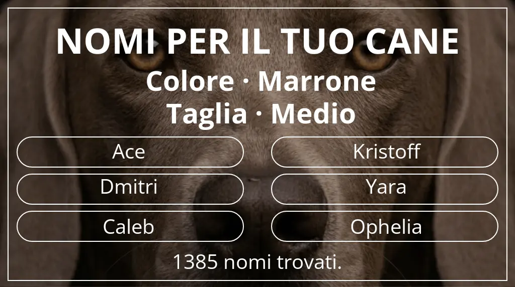 Nomi canini basati su colore marrone e taglia medio