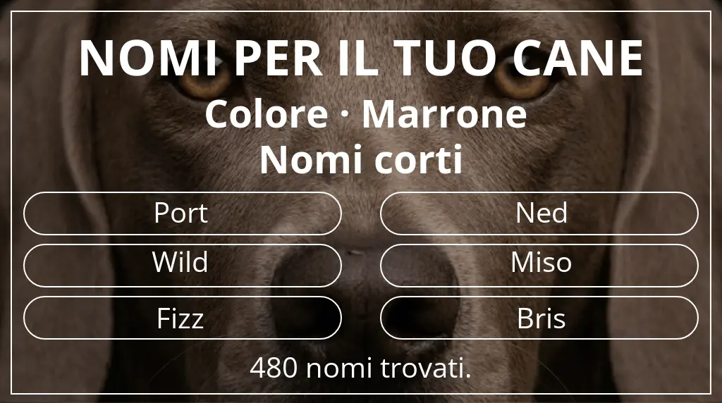 Nomi canini ispirati a colore marrone e lunghezza del nome breve (2–4)