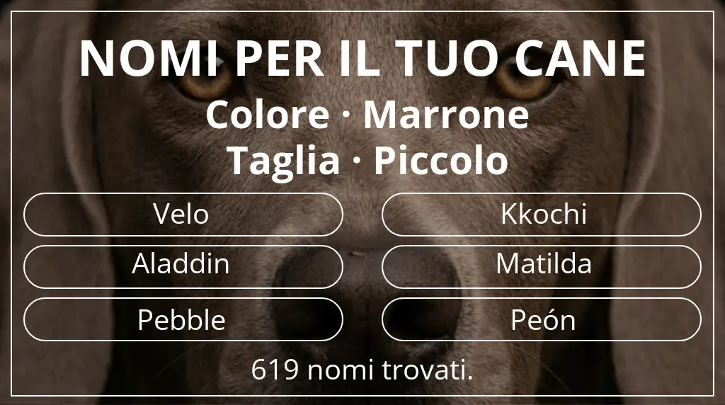Nomi per cani basati su colore marrone e taglia piccolo