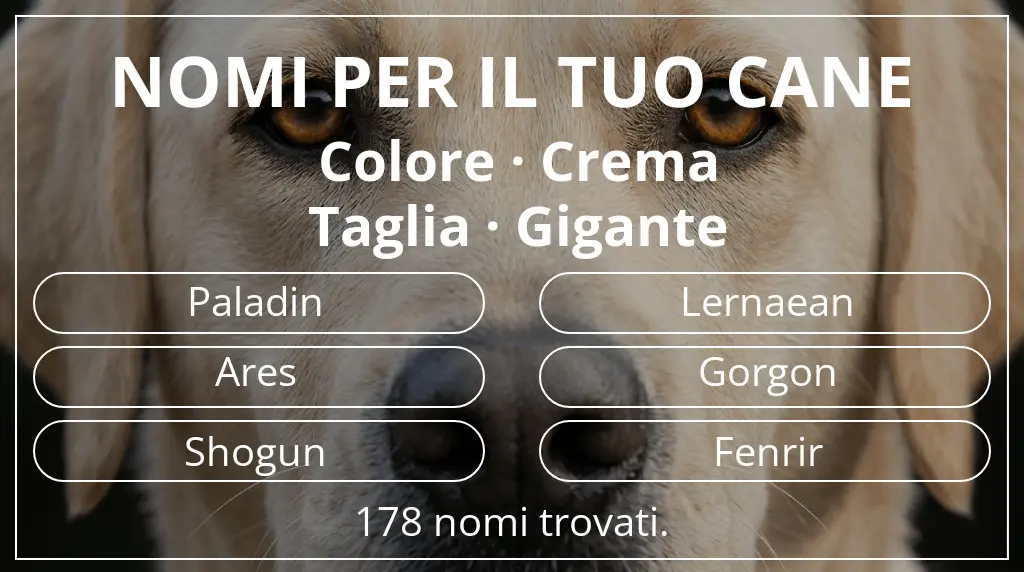 Nomi canini basati su colore crema e taglia gigante