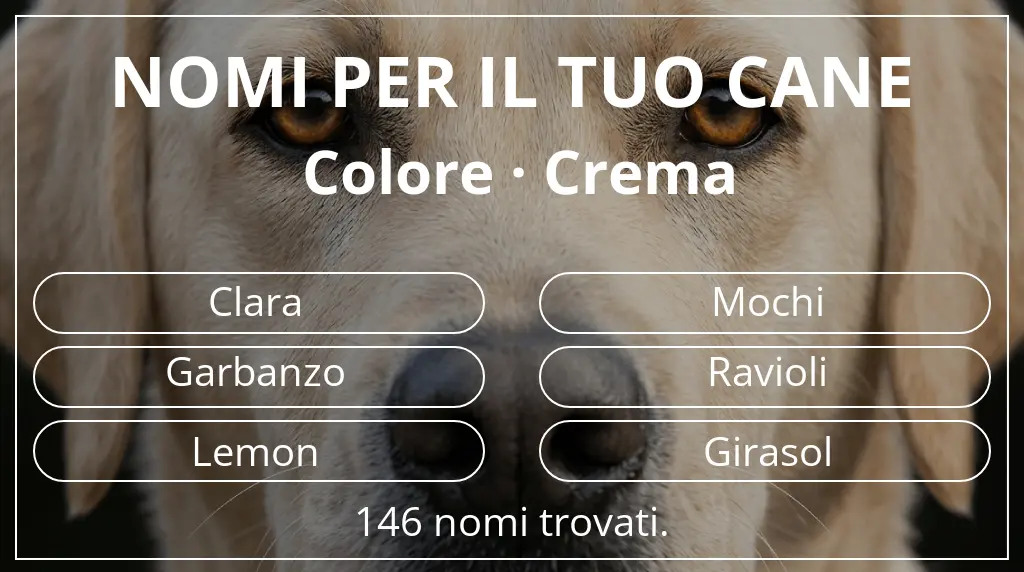 Nomi canini ispirati a colore crema