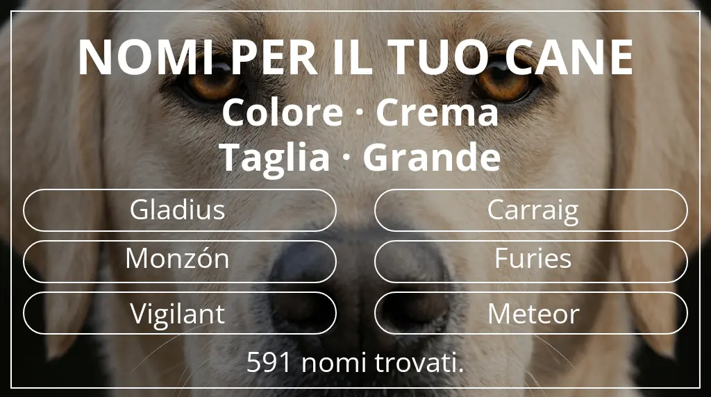 Nomi canini basati su colore crema e taglia grande