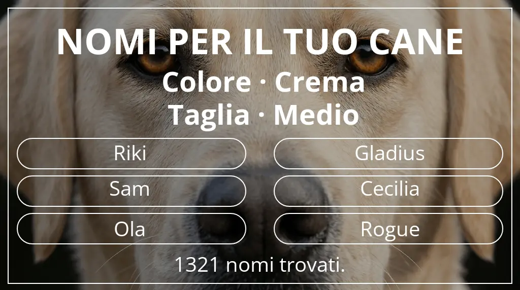 Nomi canini basati su colore crema e taglia medio