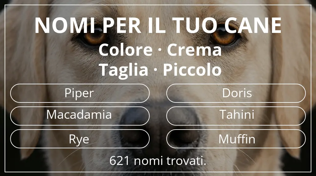 Nomi per cani basati su colore crema e taglia piccolo