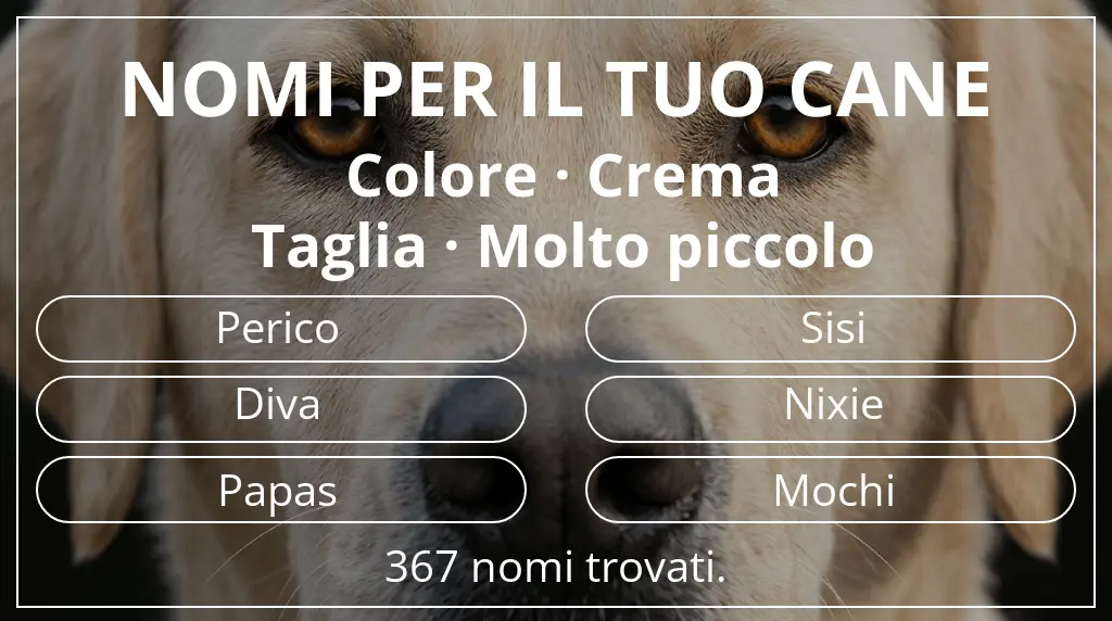 Nomi canini ispirati a colore crema e taglia molto piccolo